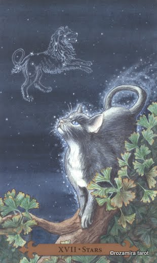 Mystical Cats Tarot